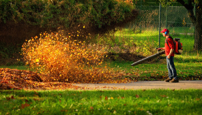 A Brief Guide To Buying A Leaf Blower