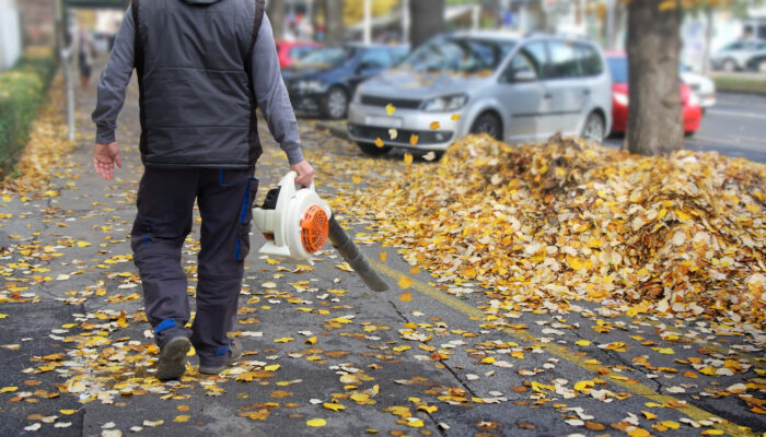 A Glance At The Best Leaf Blowers In 2018