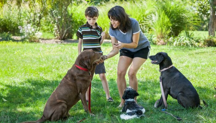 Here&#8217;s Everything You Need To Know About Buying Dog Treats