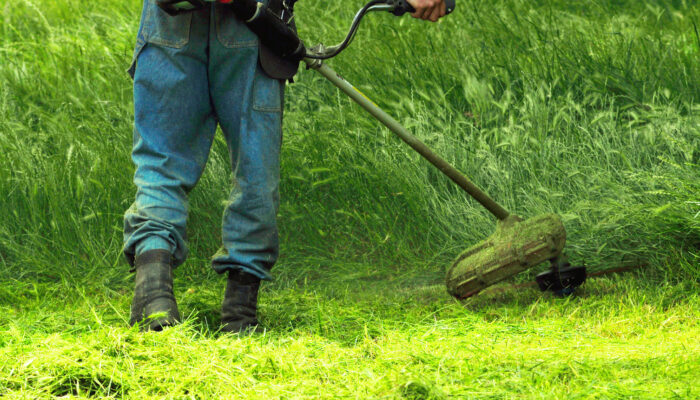 One Step To A Weed-Free Garden