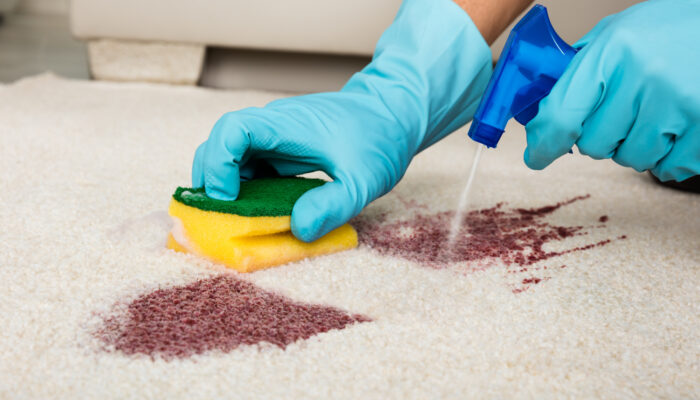 Tips To Pick The Best Carpet Stain Removers