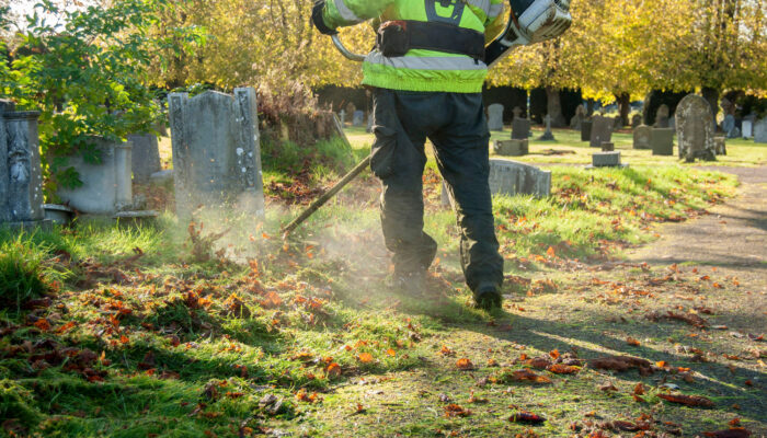 Types And Benefits Of Weed Eaters